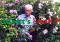 Photo from Mariettes Back to Basics Blog
