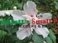 Photo from Mariettes Back to Basics Blog