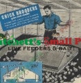 Chick Brooders You Can Make - Electric & Kerosene with 200 Chick Capacity