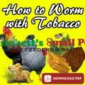 How to worm Chickens and Poultry with Tobacco