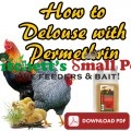 How to delouse Poultry with Permethrin 10% or Sevin Dust