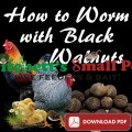 How to worm Chickens and Poultry with Black Wanuts