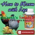How to worm Chickens and Poultry with Lye